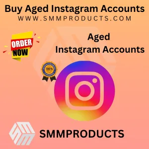 Buy Aged Instagram Accounts